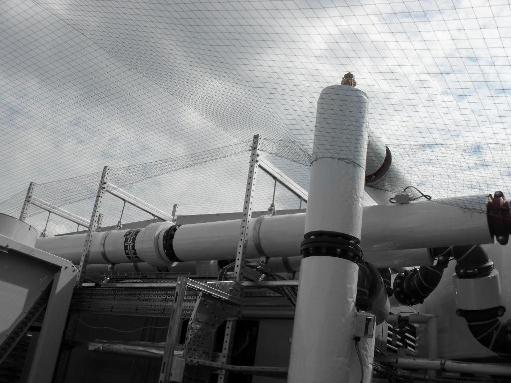 Bird Control in Crosby, Merseyside